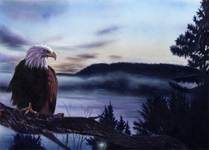 "Eagle at Mooserock" by Costel Duval