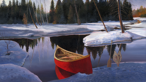 "Canoe Paddle Snowshoes 2"